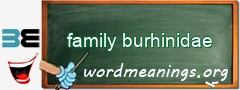 WordMeaning blackboard for family burhinidae